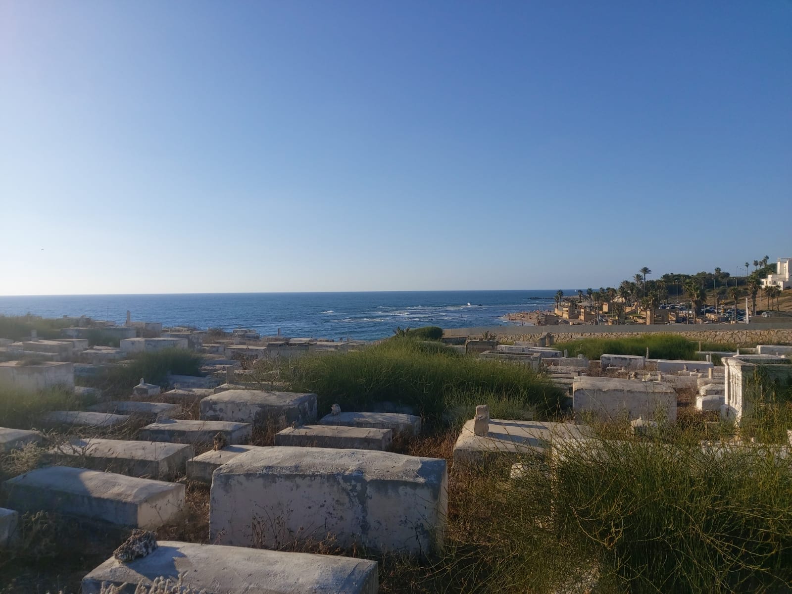 WhatsApp Image 2020-08-17 at 7.30.15 PM.jpeg.jpeg